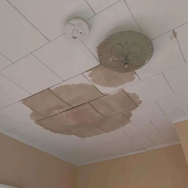 Ceiling Water Damage Repair in Avon, OH