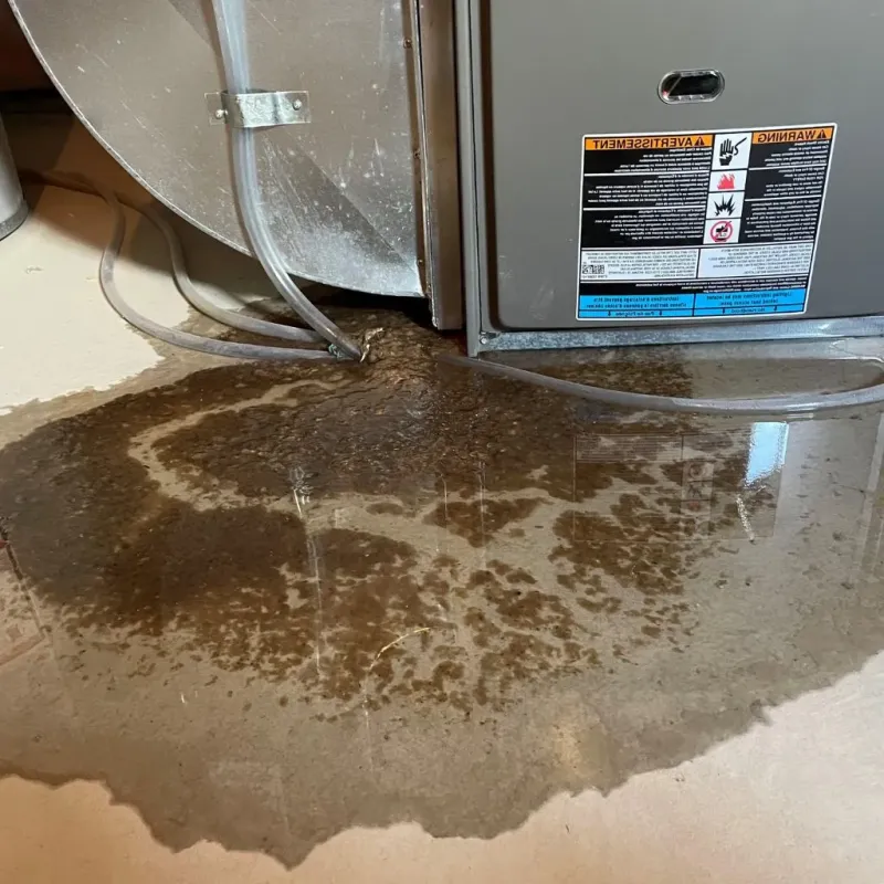 Pipe Burst and Leak Restoration in Avon, OH