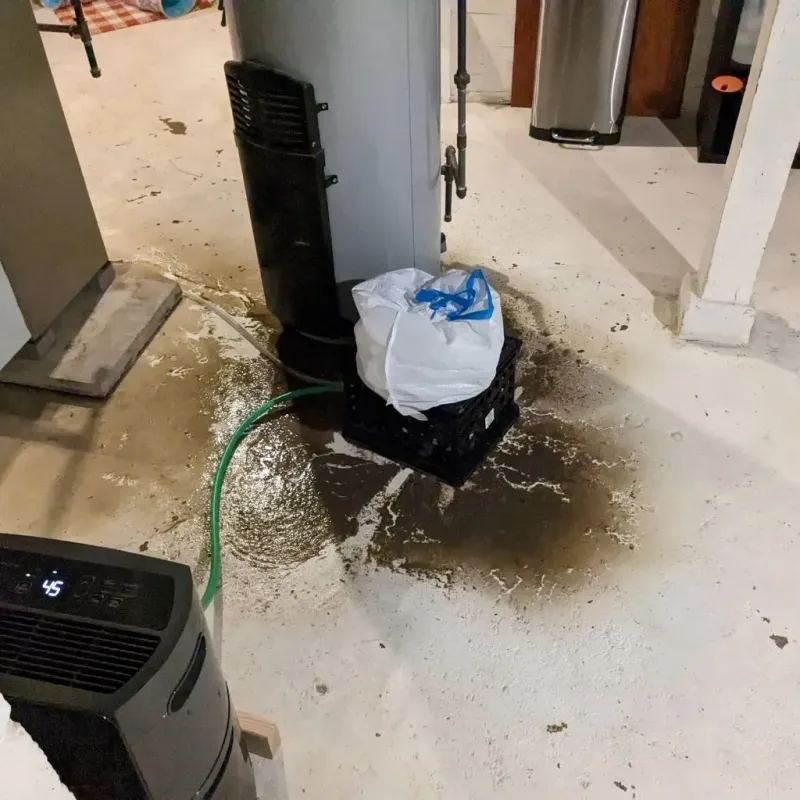 Sewage Backup Cleanup Service in Avon, OH